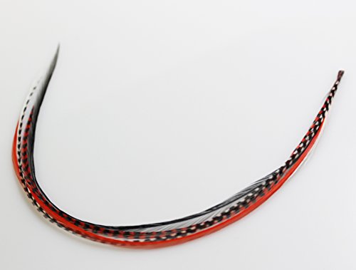 4"-6" Peacock Red, Black, White & Grizzly Feathers Hair Extensions