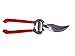 Careful Gardener Gardening Shears & Tree Pruning Saw/Folding Hand Saw (Garden Shears)