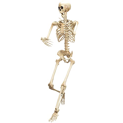 31OsQWouH3L.jpg