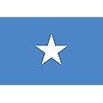 Cobb Promo 3x5 Feet 276 International Global World Country Flags (SOMALIA)