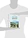 Olive Odyssey: Searching for the Secrets of the Fruit That Seduced the World