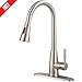 SHACO Stainless Steel Pull Down Sprayer Kitchen Faucet, Kitchen Sink Faucet With Deck Plate