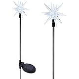 Solaration 1011-2 Sparkling Solar Star Lights Garden Stake (Set of 2)