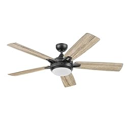 Prominence Home 51649-01 Lorelai Smart Ceiling Fan