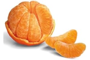 SEDLAV Clementines Easy to Peel, Seedless Citrus Snack (2 lb)
