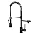 Avola Kitchen Faucet,Black Kitchen Faucet