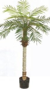One 5 Foot Artificial Phoenix Palm Tree Potted Plant
