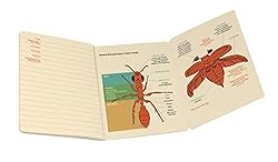 Entomology A Naturalist's Notebook - Passport Sized