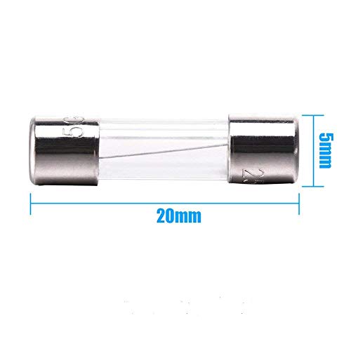 1 F10AL+Fast+Blow+Glass+Fuses+FENGWANGLI