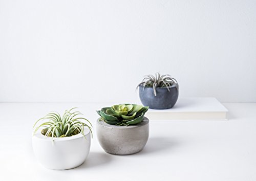 Port Living Company Concrete Planter Set
