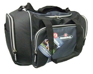 igloo insulated cooler bag
