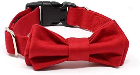 BCB Wear Dog Cotton Collar