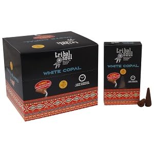 Tribal Soul Premium Backflow Incense Cones (Jumbo, 10 Cones) | Aromatic, Long-Burning for Waterfall Incense Burners : (2 Packs, White Copal)