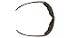 Carhartt Gear CHB418DTP Carthage® Sandstone Bronze Anti-Fog Lens - One Size Fits All - Black/Tan