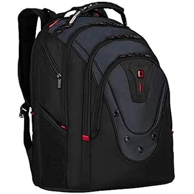 swissgear ibex computer backpack