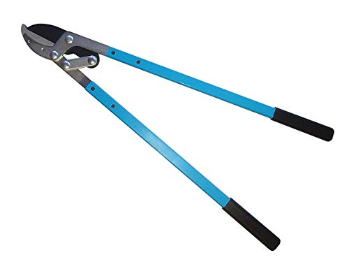 Zenport LS820-12PK LS820 Ambossschere mit Aluminiumgriff, 5,4 cm/71,1 cm, Box mit 12 Stück, Blau