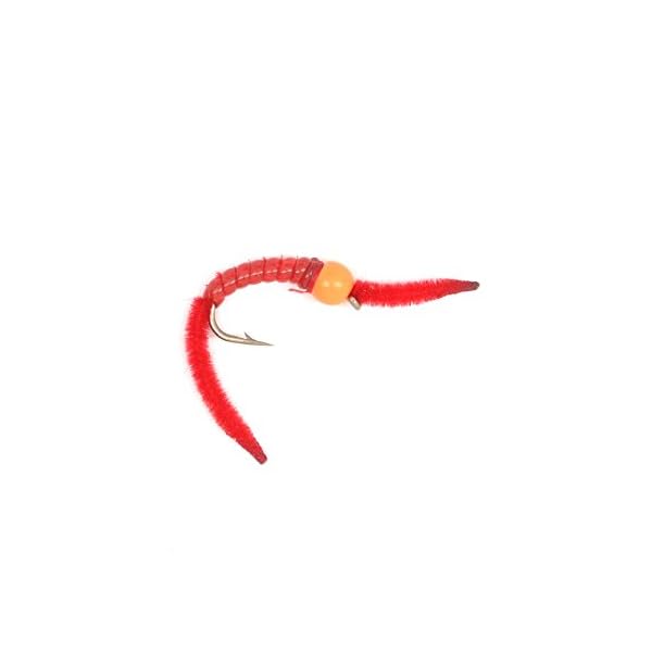 Trout-Fly-Assortment-3-San-Juan-Worm-Power-Bead-1-Dozen-Wet-Nymph-Fly-Fishing-Flies-Collection