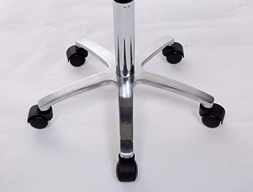FRNIAMC Hydraulic Saddle Rolling Adjustable, Heavy-Duty (350 lbs) Stool Chair for Beauty Salon Massage Dental Clinic Office(Light Grey)