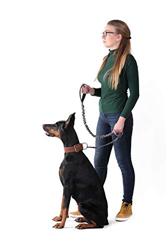 PetSpy Two Handle Dog Leash with Shock Absorbing - Improved Control & Training Bungee Pet Lead 4-6 ft (Green)