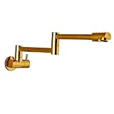 Rozin Ti-pvd Finish Folding Single Cold Water Kitchen Sink Tap Pot Filler Faucet Wall Mounted
