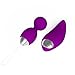 RZWD Mini Vibrating Egg, Waterproof Vibrator - Remote Vibration Massager 10 Vibration, Ladies Vibrator and Rabbit Vibrator (HY2-Purple)