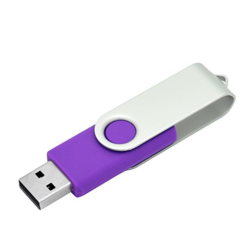 OVANUS 16GB USB 2.0 Flash Drives Metal Memory Stick Storage U Disk (Purple)