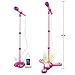 Dimandar Kids Musical Stand Microphone Toy Educational Music Toys with Colorful Light for Boys Girls 1PC