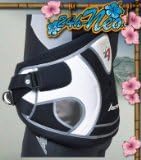 Ascan Windsurf Trapeze Harness Wave Waist