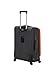 Rockland Impact Softside Spinner Wheel Luggage Set, Charcoal, 4-Piece (18/22/26/30)