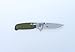 Ganzo G7522 Folding Bowie Hunting Pocket EDC Handle Knife