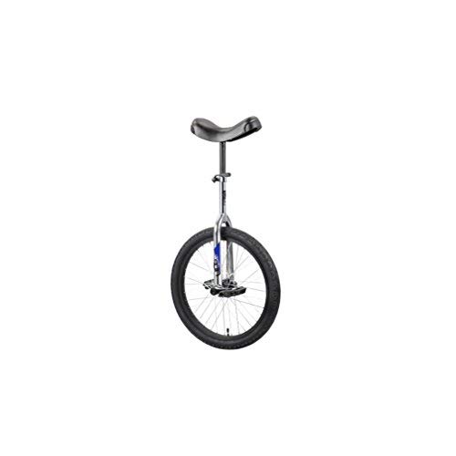 Sun 20 Inch Classic Chrome/Black Unicycle