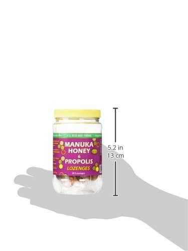 Y S Eco Bee Farms Manuka Honey Propolis Active 15 Lozenges Import 