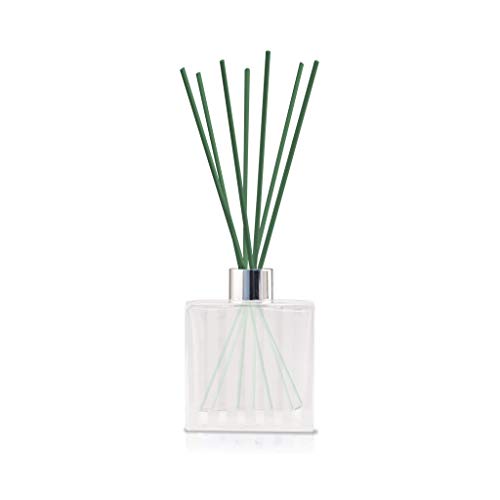 Acqua Aroma Fraser Fir Reed Oil Diffuser 6.1 FL OZ (180ml) Contain