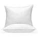 Pillows Standard Size Set of 2 (20x26 inch) - Bed Pillow fo Sleeping 2 Pack – Soft Material