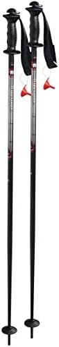 Skistöcke Alpin