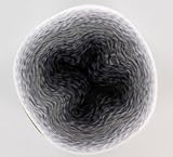 Scheepjes Yarn Whirl (751 - Liquorice Yumyum)