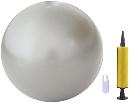 Mini Fitness Ball, for Pilates Yoga Gym Full Body Workout, Small Exercise Ball for Physical Therapy (gray)