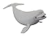 CollectA Sea Life Beluga Whale Toy Figure - Authentic Hand Painted Model