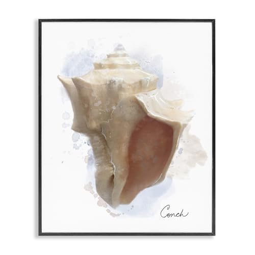 Stupell Industries Honeybloom Coastal Conch Black Framed Giclee Art design by M…
