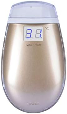 Meidexian Portable Beauty Apparatus, Portable Anti-Aging Fractional RF Dot Matrix Anti-Aging Facial Skin SPA Health