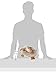 fashy 6555 - hot Water Bottle 0.8 l with Cuddly Cover Lamb