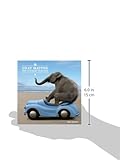 Image de Gray Matter: Why It's Good to Be Old!