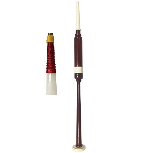 Top 10 Bagpipes Practice Chanter of 2020 No Place Called Home