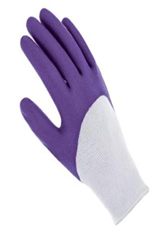 Blackfox Plantation Pistachio 8 Glove, Not applicable