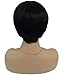 Ricawig Black Short Straight Hair Wig Heat Resistant Fiber Synthetic Full Wigs