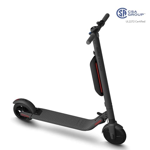 Segway Ninebot ES2 Electric Kick Scooter, Lightweight and Foldable