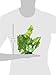 Fluval Anubias Plant for Aquarium, 9-Inch