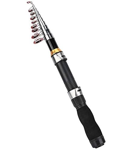 Canne à Pêche à La Mouche Télescopique Lerutwis YG036 – 3,0 M (305 Cm) – Carbone Ultraléger – Action Rapide