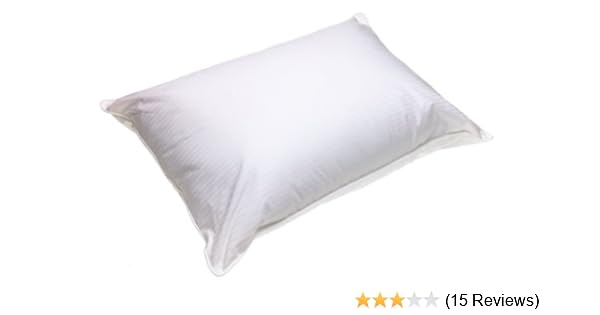 Amazon Com Pacific Coast Feather Company Sealy Posturepedic