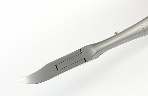 13 cm - Concave Head